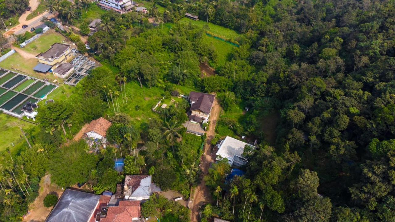 Vythiri Villas Wayanad Esterno foto