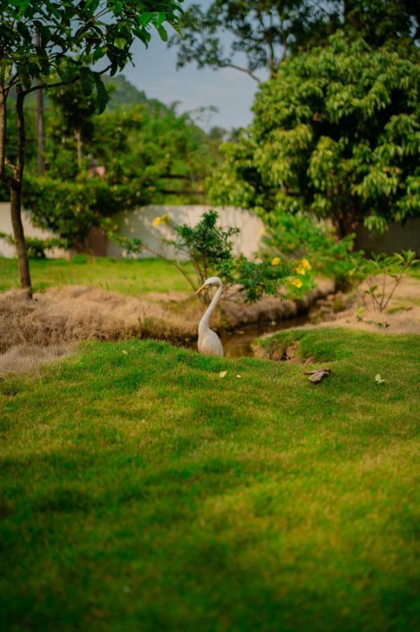 Vythiri Villas Wayanad Esterno foto